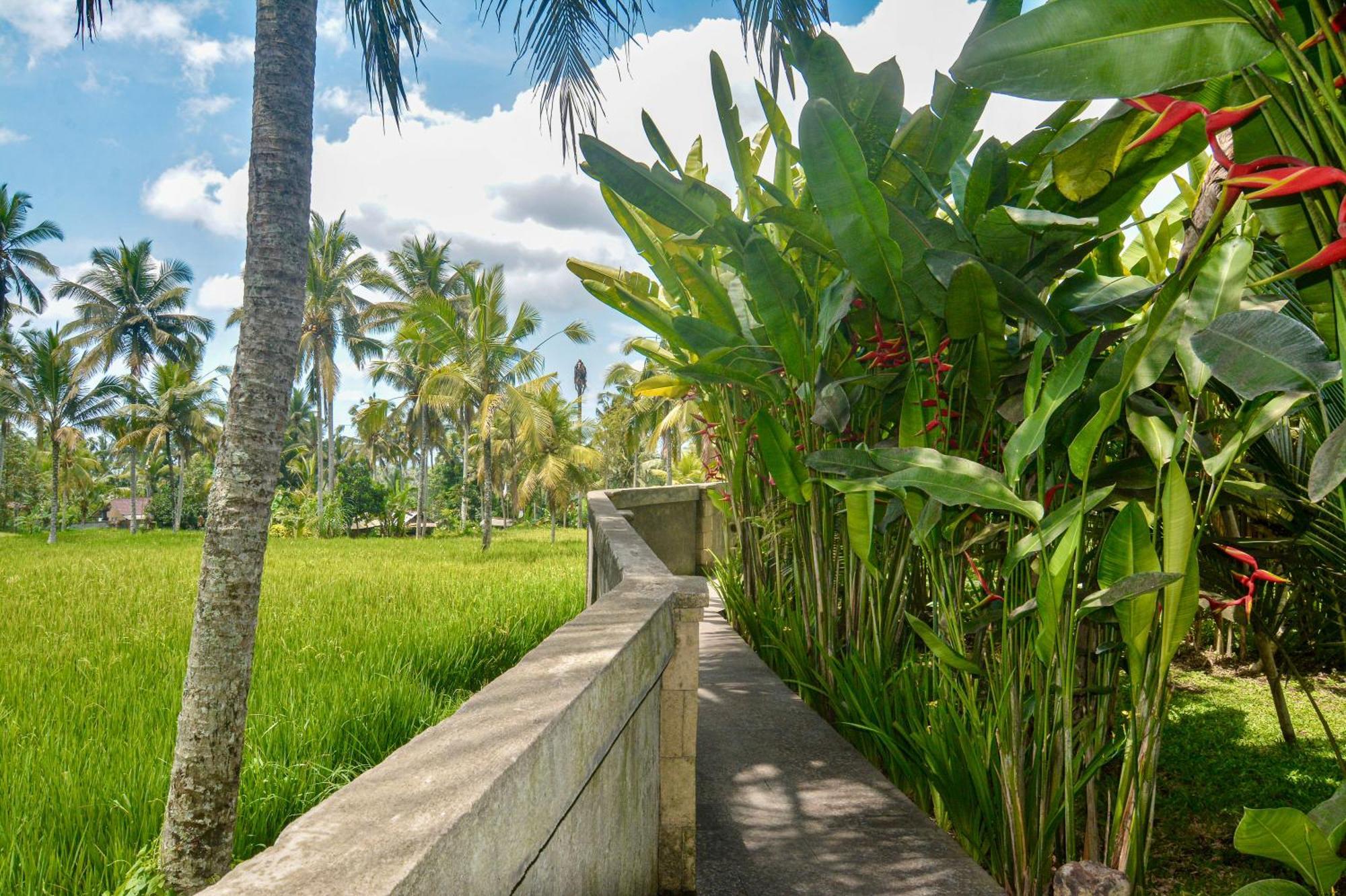 The Banana'S Kumbe Villa Tampaksiring Exterior photo