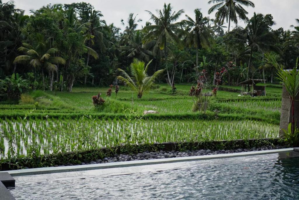 The Banana'S Kumbe Villa Tampaksiring Exterior photo